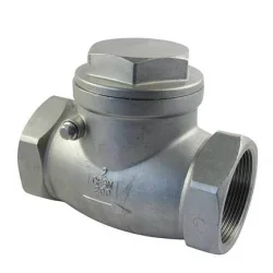 Bestseller RVS Terugslagklep W601 2 x binnendraad 1¼" PN 16