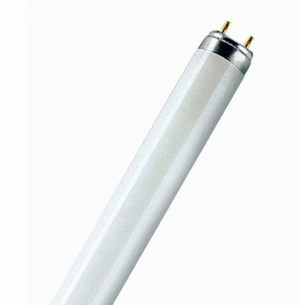 Osram T8 Lumilux 36W 840 100cm Koop Vandaag