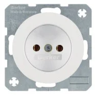 Berker 6167032089 R.1/R.3 Wandcontactdoos zonder aardcontact Polarwit Express Levering