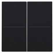 Alleen Vandaag Niko 161-00060 tweevoudige toets voor het Hue systeem Black Coated