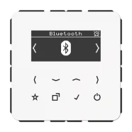 Fabrieksprijs Jung DAB CD BT WW Smart Radio DAB+ Bluetooth Alpine Wit