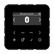 Alleen Vandaag Jung DAB CD BT SW Smart Radio DAB+ Bluetooth Zwart