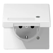 Direct Beschikbaar Jung LS 1520 NAKLKO WW Wandcontactdoos met klapdeksel, verhoogde aanrakingsveilligheid, tekstvenster, functie-indicatie en beschermingscontact 16 A 250 V ~ Alpine wit