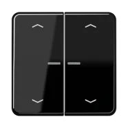 Speciale Aanbieding Jung CD 102 KO5P SW Schakelwip met lens en pijlsymbolen Zwart