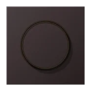 Direct Beschikbaar Jung AL 1740 D Afdekking met draaiknop Dark (aluminium gelakt)