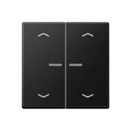 Alleen Vandaag Jung HOME BT A 17102 P SWM Taster 2-voudig met pijlsymbolen Grafietzwart mat