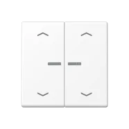 Beste Prijs Jung HOME BT A 17102 P WWM Taster 2-voudig met pijlsymbolen Sneeuwwit mat