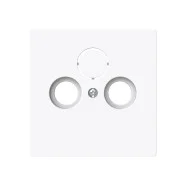 Speciale Aanbieding Busch Jaeger 1743-44G Busch-art linear Centraalplaat TV / Radio Studiowit