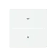 Beperkt Aanbod Busch Jaeger LFBT/A.2.63.11-84 Future Linear Afdekking 2-voudig voor keypad met symbool “Verlichting” Studiowit