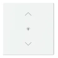 Finale Uitverkoop Busch Jaeger LFDW/A.1.63.11-884 Future Linear Afdekking 1-voudig wip voor keypad met symbool “dimmen" Studiowit mat
