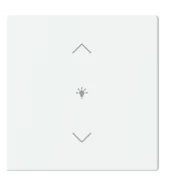 Direct Beschikbaar Busch Jaeger LFDW/A.1.63.11-84 Future Linear Afdekking 1-voudig wip voor keypad met symbool “dimmen" Studiowit