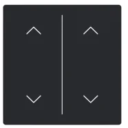 Busch Jaeger LFAW/A.2.63.11-885 Future Linear Afdekking 2-voudig wip voor keypad met symbool “omhoog omlaag" Zwart mat Speciale Aanbieding