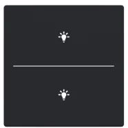 Busch Jaeger LFBT/A.2.63.11-885 Future Linear Afdekking 2-voudig voor keypad met symbool “Verlichting” Zwart mat Alleen Vandaag