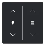 Busch Jaeger LFDW/A.2.63.11-885 Future Linear Afdekking 2-voudig wip voor keypad met symbool “Dimmen/Jaloezie" Zwart mat Favoriet