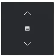 Busch Jaeger LFJW/A.1.63.11-885 Future Linear Afdekking 1-voudig wip voor keypad met symbool “Jaloezie" Zwart mat Weekendaanbieding