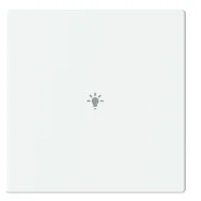 Snelle Levering Busch Jaeger LFBT/A.1.63.11-884 Future Linear Afdekking 1-voudig voor keypad met symbool “Verlichting” Studiowit mat