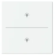 Beperkt Aanbod Busch Jaeger LFBT/A.2.63.11-884 Future Linear Afdekking 2-voudig voor keypad met symbool “Verlichting” Studiowit mat