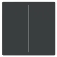 Busch Jaeger LFW/A.2.63.11-81 Future Linear Afdekking 2-voudig voor keypad Antraciet Op = Op