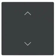 Busch Jaeger LFAW/A.1.63.11-81 Future Linear Afdekking 1-voudig wip voor keypad met symbool “omhoog omlaag" Antraciet Finale Uitverkoop