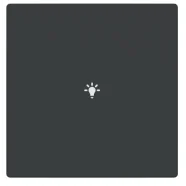 Fabrieksprijs Busch Jaeger LFBT/A.1.63.11-81 Future Linear Afdekking 1-voudig voor keypad met symbool “Verlichting” Antraciet