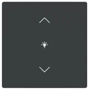 Voordeelprijs Busch Jaeger LFDW/A.1.63.11-81 Future Linear Afdekking 1-voudig wip voor keypad met symbool “dimmen" Antraciet