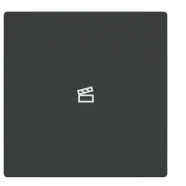 Superprijs Busch Jaeger LFST/A.1.63.11-81 Future Linear Afdekking 1-voudig wip voor keypad met symbool “Scene" Antraciet