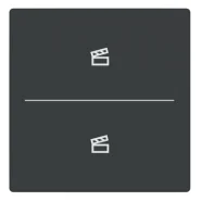 Busch Jaeger LFST/A.2.63.11-81 Future Linear Afdekking 2-voudig wip voor keypad met symbool “Scene" Antraciet Uitverkoop