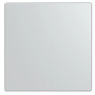 Busch Jaeger LFW/A.1.63.11-83 Future Linear Afdekking 1-voudig voor keypad Aluzilver Laatste Kans