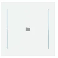 Busch Jaeger LFS/A.1.70.11-44M Busch-art linear Afdekking 1-voudig wip voor keypad met symbool “Scene" Studiowit mat Snelle Levering