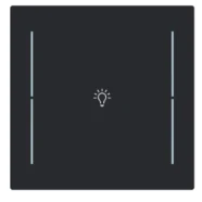 Bestseller Busch Jaeger LFB/A.1.70.11-45M Busch-art linear Afdekking 1-voudig voor keypad met symbool “Verlichting” Zwart mat