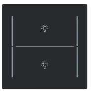 Busch Jaeger LFBT/A.2.70.11-45M Busch-art linear Afdekking 2-voudig voor keypad met symbool “Verlichting” Zwart mat Bestseller