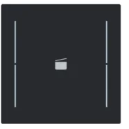 Busch Jaeger LFS/A.1.70.11-45M Busch-art linear Afdekking 1-voudig wip voor keypad met symbool “Scene" Zwart mat Rechtstreeks Van De Fabrikant