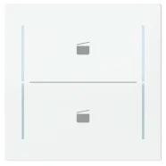 Busch Jaeger LFST/A.2.70.11-44G Busch-art linear Afdekking 2-voudig wip voor keypad met symbool “Scene" Studiowit Korting