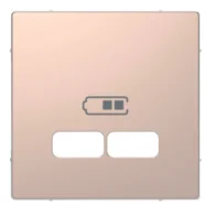 Schneider Electric Merten MTN4367-6051 Systeem Design Centraalplaat voor USB-oplader Metaal Champagne Alleen Vandaag