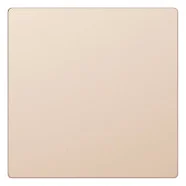 Exclusieve Aanbieding Schneider Electric Merten MTN4075-6051 Systeem Design Blindplaat Metaal Champagne