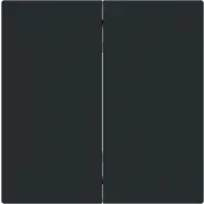 Voordeelprijs Busch Jaeger 6736 FoH-45M Bedieningswip 2-voudig voor serie Busch-art linear Zwart mat