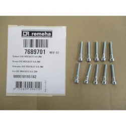 Express Levering Remeha schroef CHC M5X30/ 22 8.8 ZN8 7689701