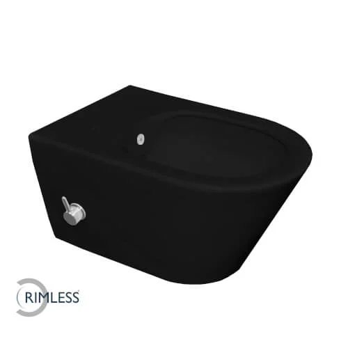 Lage Kosten Wiesbaden Luxe rimless wandcloset 53 cm met ingebouwde