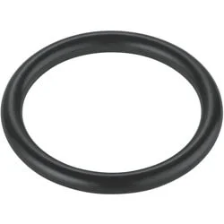 Superprijs GROHE O-ring