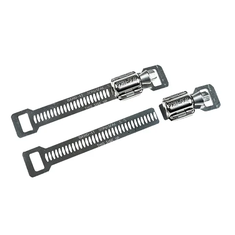 Koopje BAND-IT - M21099US - SCRU-SEALS BAND 25 Screws, 25 Housings - Verpakkingseenheid 50stuks - 61031210