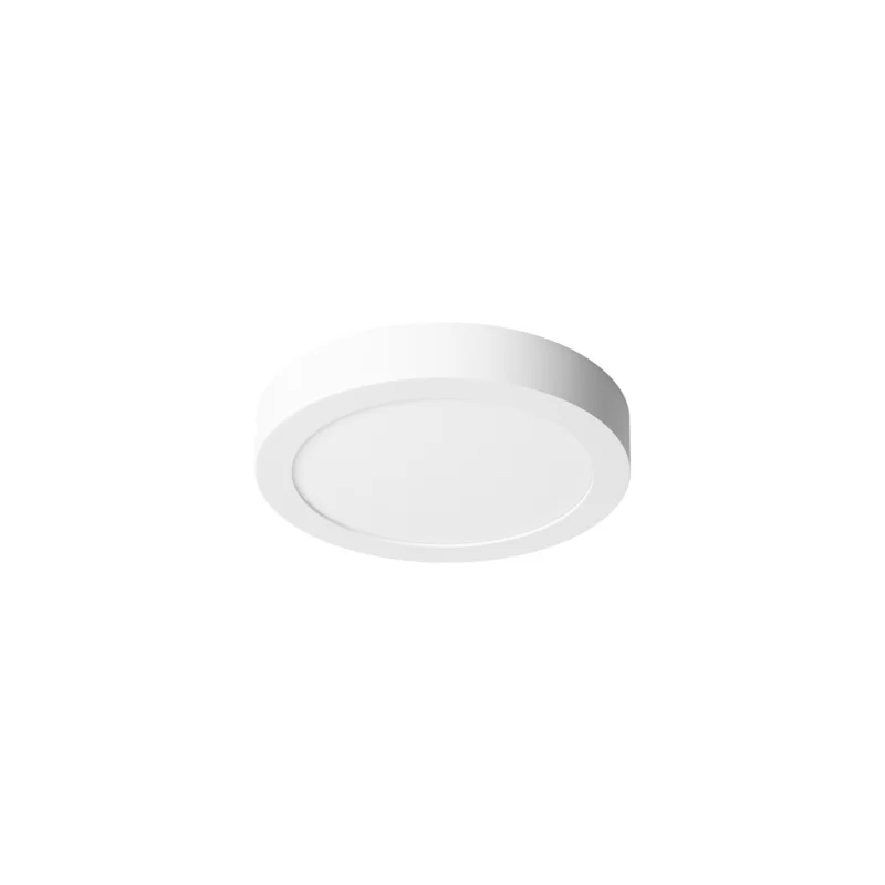Betrouwbaar Prolumia Pro-Ceiling Ø240x39mm opbouw, 15W, 2700K, wit