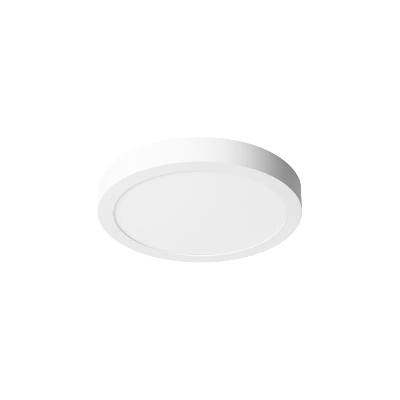 Prolumia Pro-Ceiling 300x39mm, opbouw, 30W, 4200K, wit Shop Nu