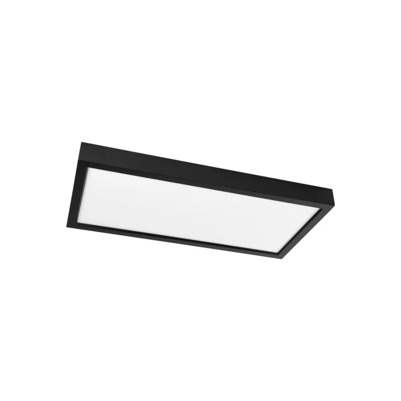 Prolumia Pro-Ceiling 300x600xH48mm, opbouw, max. 30W, IP40, 2700-3000-4000K, zwart, dimbaar Direct Beschikbaar