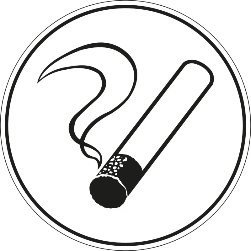Brady - Overige pictogrammen - Informatietekens - Roken toegestaan - PIC 275-DIA 315-B7527 - 252152 - 86252152 Alleen Vandaag