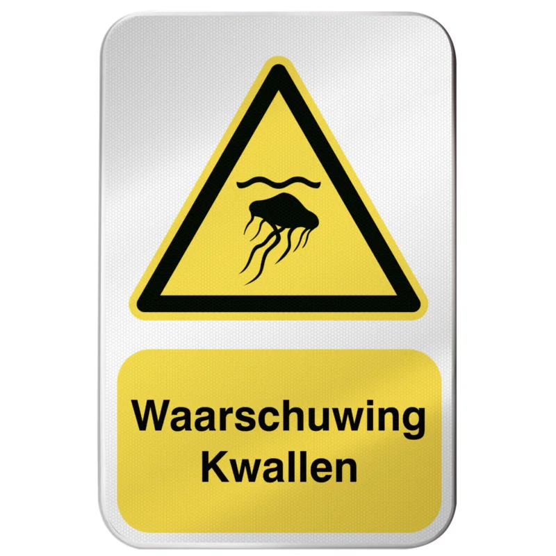 Beste Prijs Pictogrammen - W/W069/NL504/RFLBD-400x600-1
