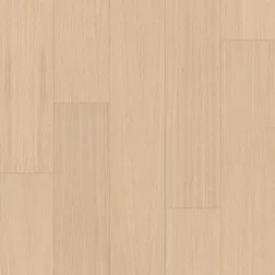 PARKY Master Milk Oak Premium Hete Deal