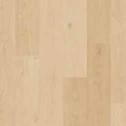 Quickstep Blos Base AVSPT40321 Kustzand Beige Shop Nu