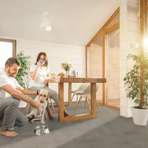 Bodiax Rock BP565 Click Jura 523 Plank Click PVC Lage Prijs