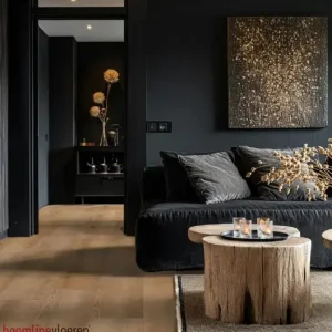 Exclusieve Aanbieding Hoomline City Click Maastricht 7047 Plank Click PVC