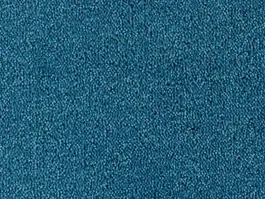 Betrouwbaar Tapijt Colour King blauw 10004783